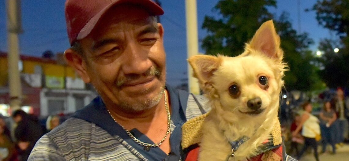 Llaman a tener cuidado con las mascotas por bajas temperaturas y reportar pirotecnia