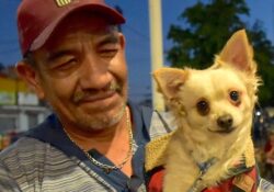 Llaman a tener cuidado con las mascotas por bajas temperaturas y reportar pirotecnia