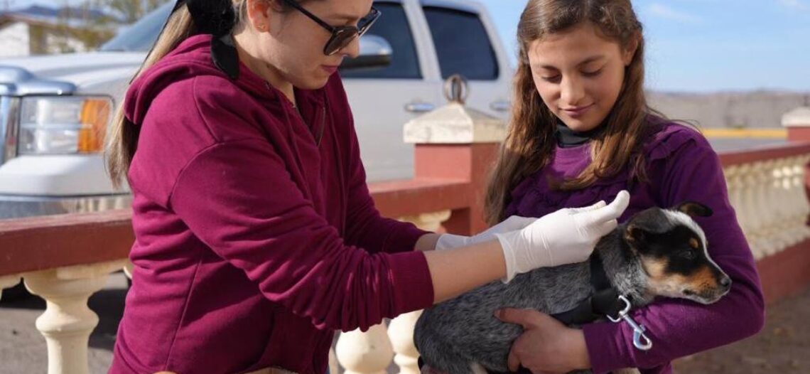 Dirección de Bienestar Animal llevará Jornada al ejido Zamora de Hermosillo