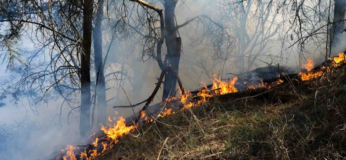 Protección Civil Sonora llama a no tirar bachas de cigarro en carreteras