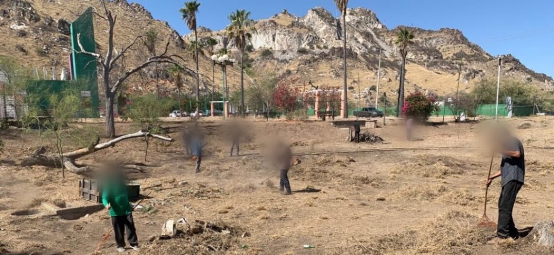 Gobierno de Sonora inicia limpieza de áreas verdes de La Sauceda