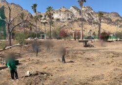 Gobierno de Sonora inicia limpieza de áreas verdes de La Sauceda