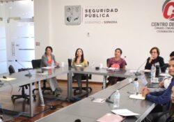 Presentan políticas públicas de seguridad a estados de las zonas noroeste-noreste
