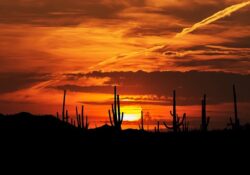 Alertan por calor de hasta 48 grados en Sonora