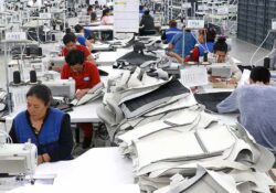 Se reactiva generación de empleos formales; reporte del IMSS