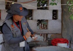 Disminuyen 94 por ciento casos de dengue en el estado: Gobierno de Sonora