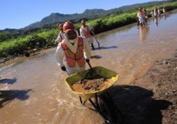 Persiste contaminación en río Sonora tras derrame de Grupo México en 2014