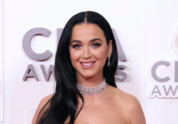 Katy Perry despoja de su casa a un veterano discapacitado
