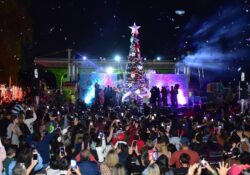 Encienden en el Parque Infantil el tradicional árbol navideño