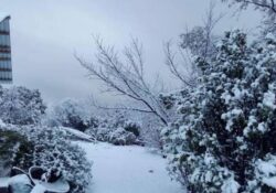 Nevadas pintan de blanco la Sierra de Chihuahua en plena primavera