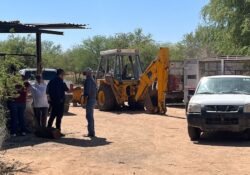 Investiga FGJES muerte de animales en predio de Hermosillo