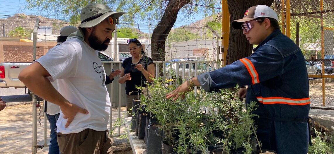 Invita Vivero Municipal a su campaña de donación de 500 árboles