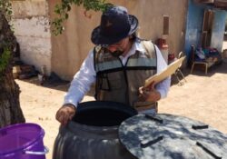 Mantiene Gobierno de Sonora acciones contra el mosquito del dengue