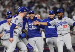 Dodgers de Los Ángeles conquistan la Serie Mundial 2024 en el Bronx