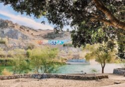 Agradecen hermosillenses por revivir La Sauceda como Bosque Urbano