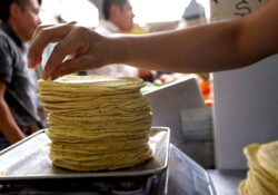 Sheinbaum firma acuerdo para reducir el precio de la tortilla en México