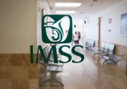 IMSS pública lista de contratos por servicios u obras especializados