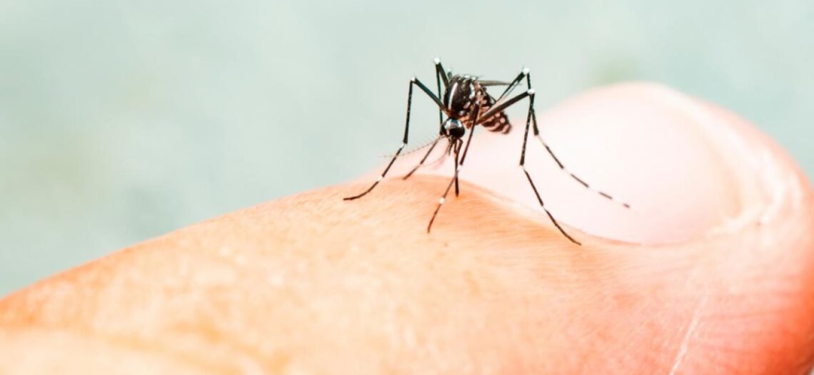Advierten repunte de dengue en Sonora tras el paso de ‘Lorena’