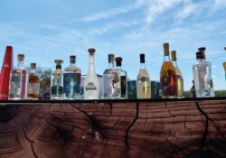 Logran certificación para el bacanora como bebida tradicional de Sonora