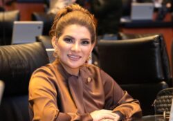 El Senado es clave para el segundo piso de la 4T: Lorenia Valles Sampedro