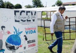 Más de 30 mdp llegarán a Sonora con el Programa Sembrando Vida