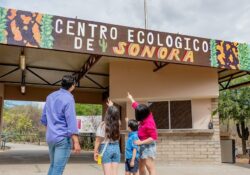 Reporta Cedes rehabilitación del Centro Ecológico y aumento de visitantes
