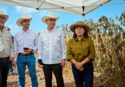 Sonora lidera crecimiento agrícola del norte del país, destaca Alfonso Durazo