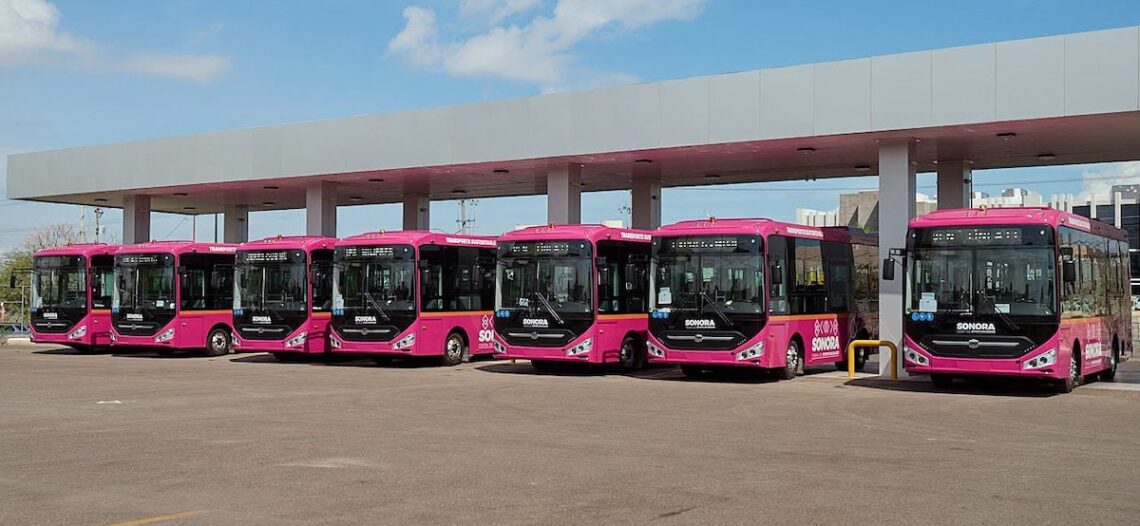 Durazo transforma el transporte público con 768 unidades activas en Sonora