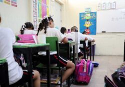 México retrocede en PISA 2025 y queda debajo del promedio de la OCDE