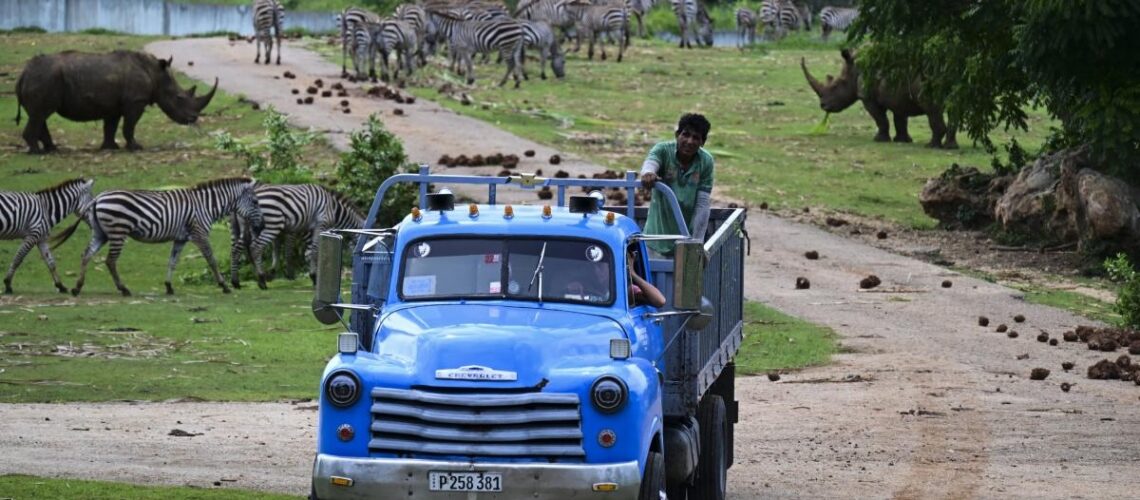 Apagones y escasez golpean al Zoológico Nacional de Cuba durante crisis actual
