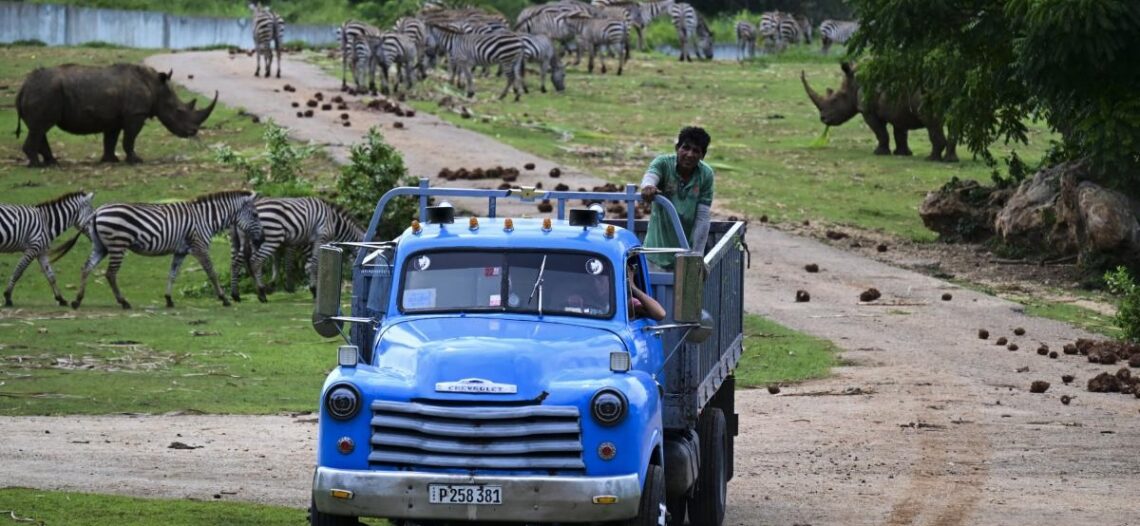 Apagones y escasez golpean al Zoológico Nacional de Cuba durante crisis actual