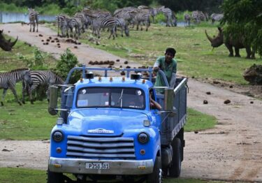Apagones y escasez golpean al Zoológico Nacional de Cuba durante crisis actual