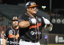 Naranjeros de Hermosillo asegura la serie ante Jaguares con triunfo 11-4